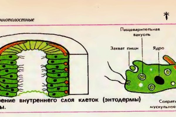 Зеркало омга